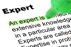 subject matter expert